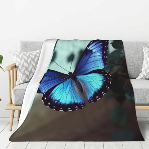 Plaid flanelle papillon bleu : douceur et chaleur toutes saisons - 2