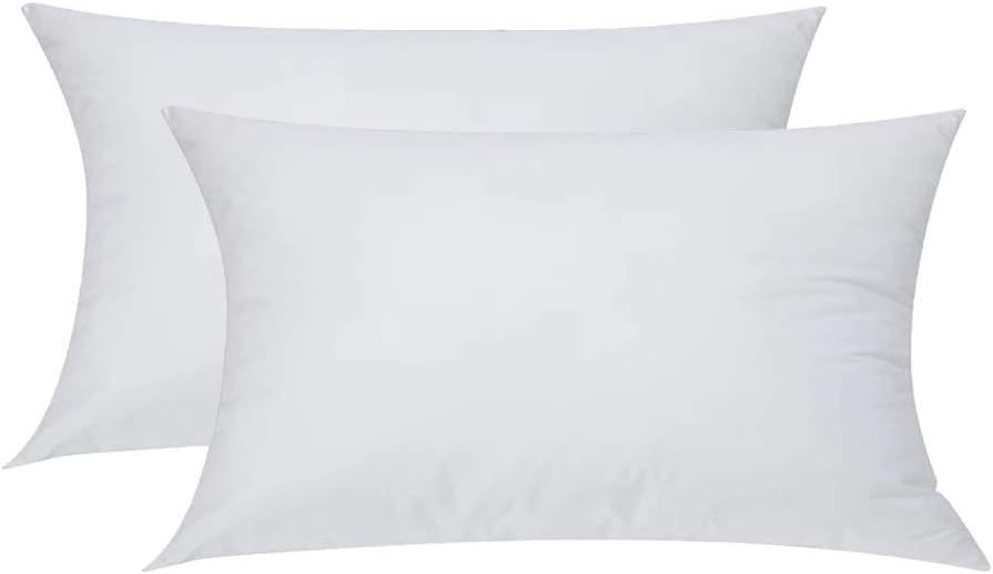 Ramirar Set of 2 Vacuum Packaged Premium Hypoallergenic Stuffer Pillow Insert Inner Core Interior Polyester Rectangular Lumbar Fit with 12 x 20 Inches' Throw Pillow Cover