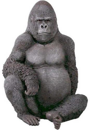 Amazon Co Jp 悠然たるゴリラ ホーム キッチン