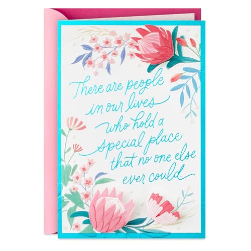 Hallmark Birthday Card for Friend (People Like You)