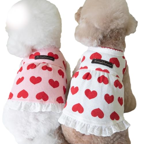 [Lady glamour] n[gybg p Lp btf s[X ^Ngbv [Xtt ^ ^p gCv[h/}`[Y/rV (zCg, S)