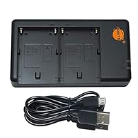 DSTE NP-F USB Dual Akkuladegerät Kompatibel mit Sony NP-F330 NP-F550 NP-F570 NP-F750 NP-F770 NP-F930 NP-F970 NP-FM50 NP-FM500H - Versorgung über Micro-USB zu USB-A 2.0-Ladekabel