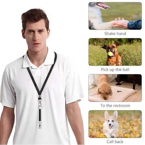 Qivorimith Dog Whistle strengths and trade-offs