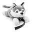 Husky (With Lead)