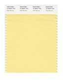 PANTONE Smart 12-0824X Color Swatch Card, Pale Banana
