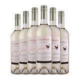 Vina Caliterra