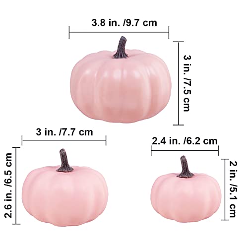 BESTTOYHOME 12 Pcs Assorted Small Light Pink Pumpkins - Elegant Pastel Pink Faux Decorative Pumpkins for Fall, Halloween, Thanksgiving, Wedding, Baby Shower - Thumbnail 2