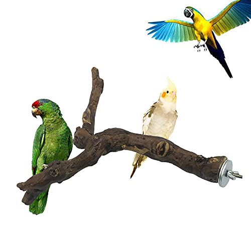 Image of 2 PCS Natural Grape Stick Fork Bird Perch Bird Standing Stick Chewing Bird Toys Natural Grapevine Bird Cage Perch for Parrot Cages Toy for Cockatiels, Parakeets, Finches