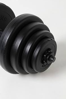 Amazon | [ビジョンクエスト] ダンベル PEダンベル20kg