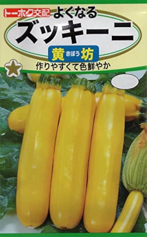 ズッキーニの種【20粒以上】✖️30セット⭕️まとめ買いご利用で更にお買い得‼️ ズッキーニの種【20粒以上】⭕️まとめ買いご利用で更にお買い得