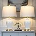 Modern Ceramic Table Lamps Set of 2, 23