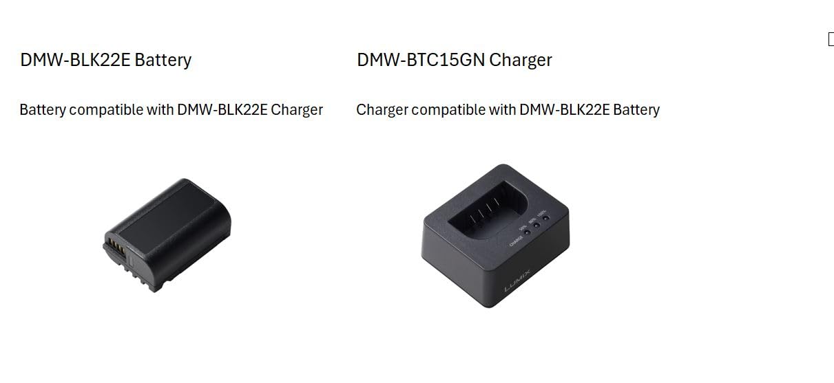 Panasonic LUMIX DMW-BLK22E Batterie Rechargeable pour Appareils Photo Numériques LUMIX S5 et GH5M2, 7,2V, 2200mAh, 16Wh, Noir