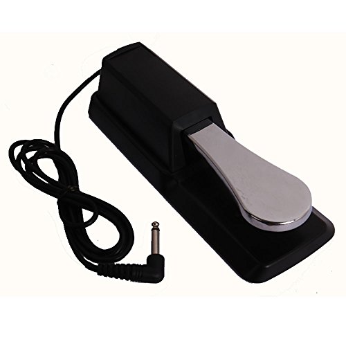 Universal Sustain Pedal for All Electronic Keyboards, Digital Pianos & Synthesizers - Foot switch Damper Pedal, Digital Piano Foot Damper Pedal, Electronic Piano and Keyboard