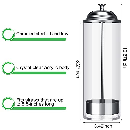 image for Patelai Plastic Straw Dispenser and 100 Pcs Drinking Straw Organizer C