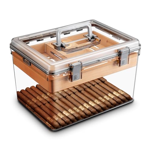 PP VK[ q~h[AnhtNA VK[ Xg[W q~h[ xvƉ V_[Ebh gC 100 {p