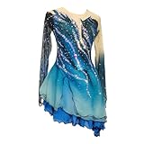 ZYDANC Women's Girls' Professional Ice Skating Dress Gradient Costume Long Sleeve Beaded Roller Skating Skirt Flower,Blue,M