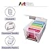 ArtBin Semi Satchel Portable Craft Organizer with 3 Dividers - Clear Plastic Storage Case for Art & Craft Supplies