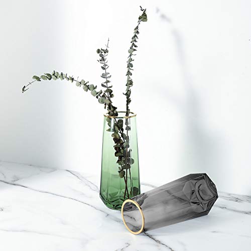 Luxspire Glass Vase, Ins Style Gold Tone Mouth Crystal Clear Floral Flower Plant Decorative Container Vase for Home Office Desk Decoration, Ideal Gifts for Birthday Wedding Housewarming - Green - Afbeelding 3