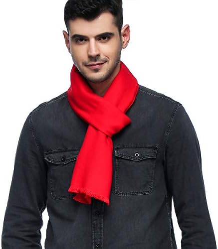 HOYAYO Mens Scarfs Warm Long Winter Formal Business Scarf