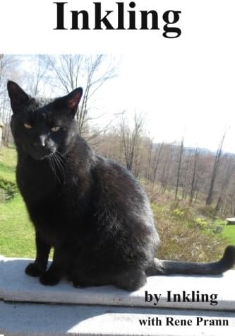 Inkling Paperback – July 25, 2015