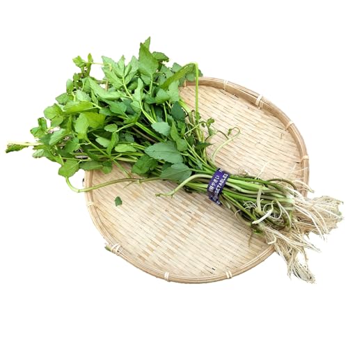 春菊 新鮮で風味豊か! 約1,000g