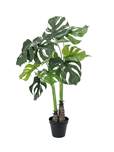 Steinigke Showtechnic Euro Palms Mons terámetros Deliciosa, 90 cm, Planta Artificial