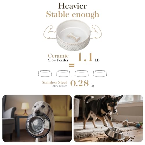 Image of MALACASA Ceramic Dog Food Bowl, Water Dish for Small Breeds, 2 Cups