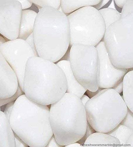 Floor and Decor White Polished Pebbles Stones for Plants,Landscaping,Home& Garden Decoration 1 kg (B0BNQJ45D8) Amazon Price History, Amazon Price Tracker
