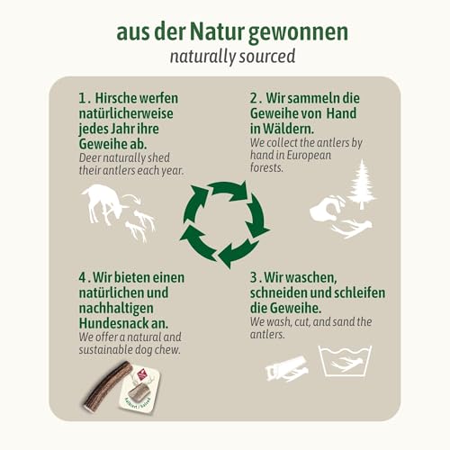 ChronoBalance® L - Hirschgeweih für Hunde – 1er Set Halbierte Kauspielzeuge, 100% Natürliches Kauknochen Hundespielzeug zur Zahnpflege, Nachhaltige Hunde Kauartikel ohne Chemie