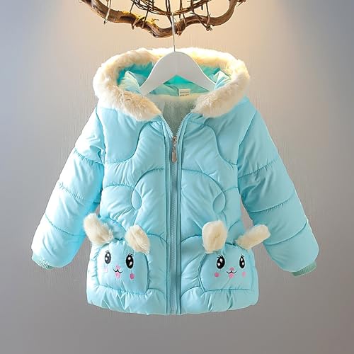 Toddler Girls Cartoon Puffer Hooded Coat Zipper Long Sleeve Fleece Padded Jacket Cute Warm Outwear for Baby Girls2