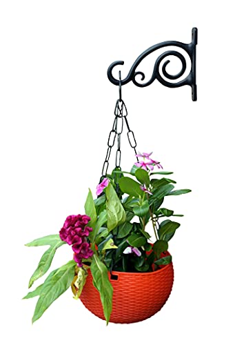 Image of Metal Wall Hook Hanging Plant Bracket | Decorative Straight Plant Hanger for Pots, Bird Feeders, Planters, Lanterns, Cotton, Wind Chimes Indoor Outdoor, (Pack of 1)