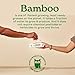 Caboo Baby Wipes, Made with Bamboo Viscose, Certified Made Safe Ingredients, Unscented Baby Wipes Good for Sensitive Skin, 72 Wipes Per Travel Pack, Bulk Total of 864 Wet Wipes