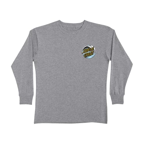 SANTA CRUZ Wave Dot L/S Midweight T-Shirt Ath HTHR w/Gold Med Youth2