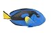 Safari Ltd. Blue Tang – Realistic Hand Painted Toy Figurine Model – Quality Construction from Phthalate, Lead and BPA Free Materials – For Ages 3 and Up