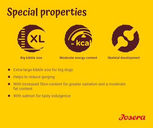 JOSERA Large Breed Huhn & Reis (1 x 12,5 kg) | Premium Trockenfutter für ausgewachsene Hunde großer Rassen | mit Lachsöl | weizenfrei | wertvolle Fettsäuren | XL-Kroketten gegen Schlingen | 1er Pack