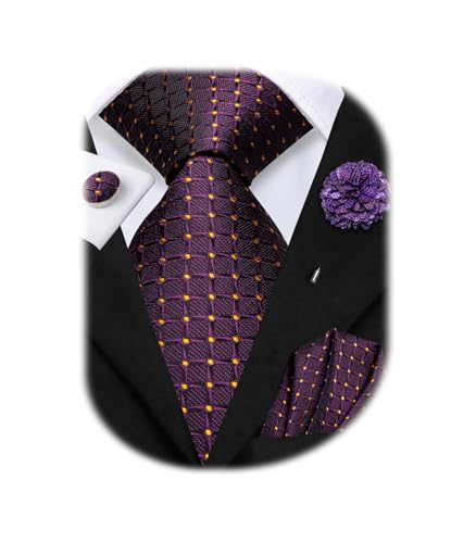 Image of Hi-Tie Mens Paisley Floral Striped Ties Set Silk Necktie and Lapel Pin for Men Pocket Square Cufflinks Set Business Wedding