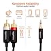 Amazon Basics 3.5 Aux to 2 x RCA Adapters, Audio Cable for Amplifiers, Active Speakers with Gold-Plated Plugs, 25 Feet/7.6 m, Black
