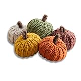 Your Heart's Content Mini Knit Pumpkins Set of 5, Thoughtful Gift, Fall Favorite, Autumn Bowl fillers Farmhouse Tiered Tray Decor, Decorative Pumpkins Bookshelf (MIni Autumn Set)
