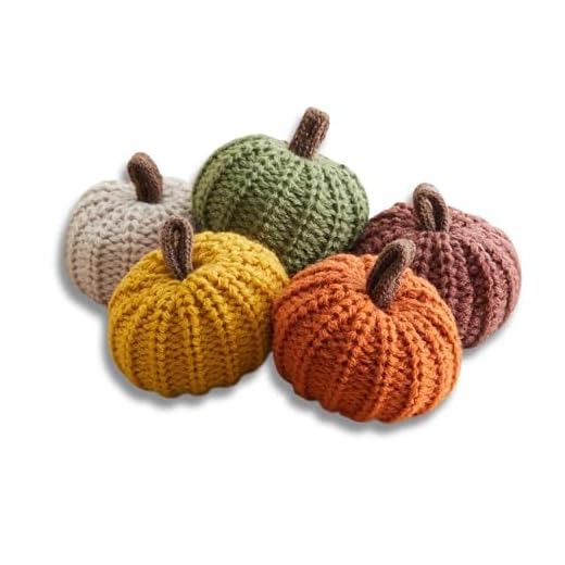 Your Heart's Content MINI Knit Pumpkins Set of 5, Fall Favorite, Gifts for Women, Autumn Bowl fillers Fall Farmhouse Tier Tray Decor, Decorative Pumpkins for Friend (Autumn Set)