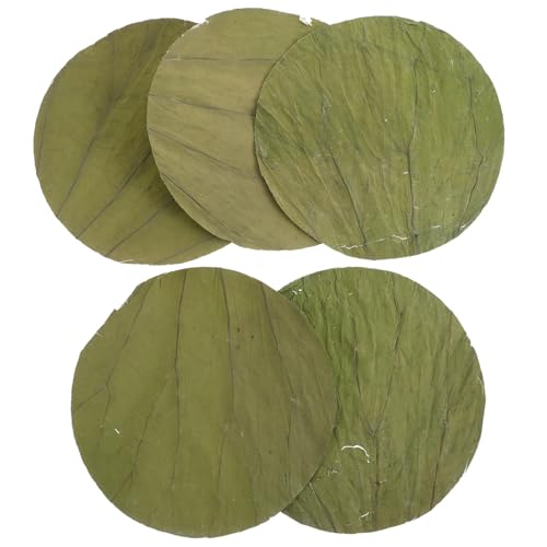 NUOLUX 100������V�R�@�̗t �ی^���C�g�O���[�� �H�i��p �@�̗t�v���[�g �����p���i���� �p�[�e�B�[�f�R���[�V�����ɍœK�ȑ��p�r�H�i���b�s���O�f��