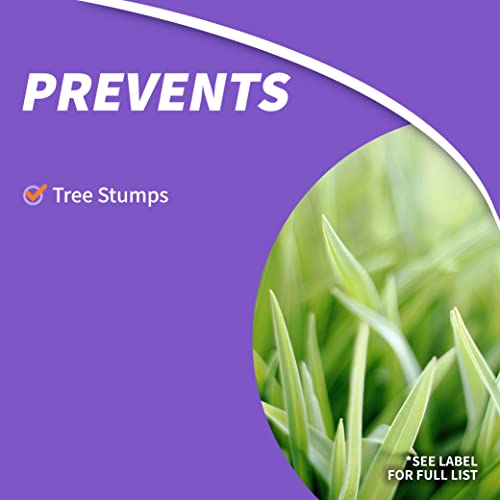 Bonide Stump-Out Granules, Do-It-Yourself At Home Stump Removal Pellets thumb #2
