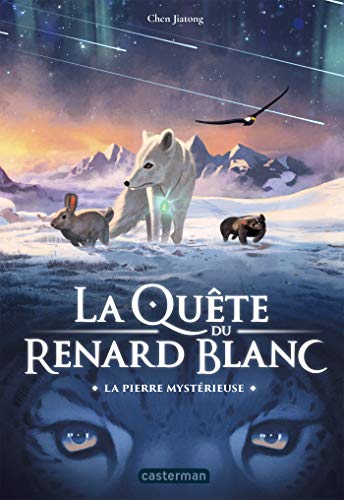 Amazon Com La Quete Du Renard Blanc Tome 1 La Pierre Mysterieuse French Edition Ebook Jiatong Chen Kindle Store