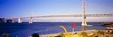 Walls 360 Peel & Stick Wall Mural: San Francisco Bay Bridge with Cupid's Span (48 in x 16 in)