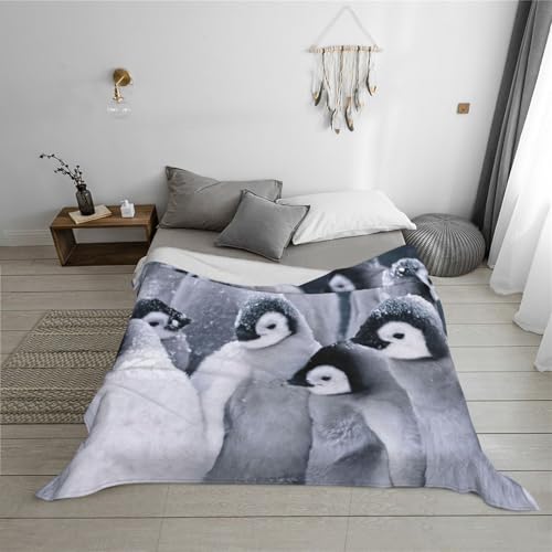 Couverture en flanelle pingouin pour soirées cocooning sur canapé