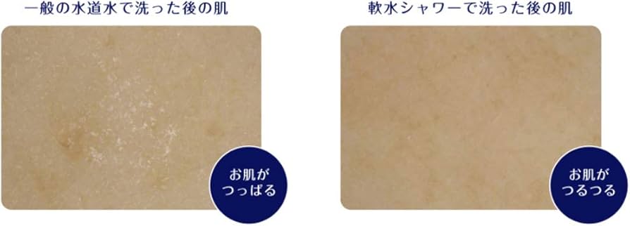 Amazon | ハウステック シャワー用軟水器アクアソフト BAQ-S1202