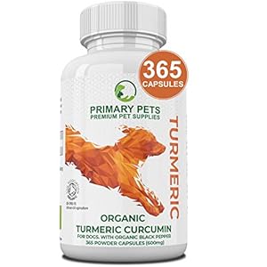 Primary Pets Premium Pet Supplies. Organic Turmeric for Dogs. 365 x 600mg Capsules. Curcumin Antioxidant Hip and Joint Aid Supplement with Active Piperine 12000mg