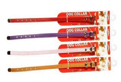 Camon Collier pour Chiens pequeã 'OS Cover