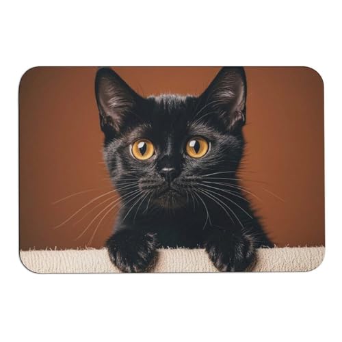 Cute Peeping Black Cat Door Mat Super Water Absorbent Non Slip Bothroom Rugs for Bathtub Sink Puppy Dog Rugs Easy to Clean Quick Dry Diatom Mud Mat for Entryway Indoor Outdoor