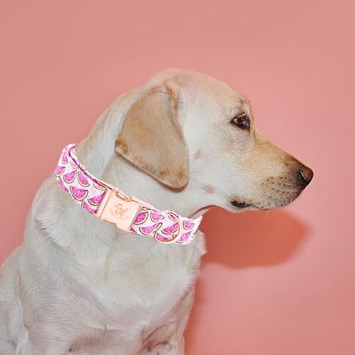 Collier pour chien XL imprimé pastèque coton durable - 5