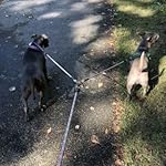 Review Image by Dana Zorn Dana Zorn